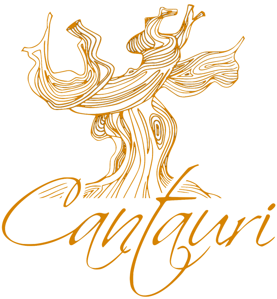 VINOS CANTAURI